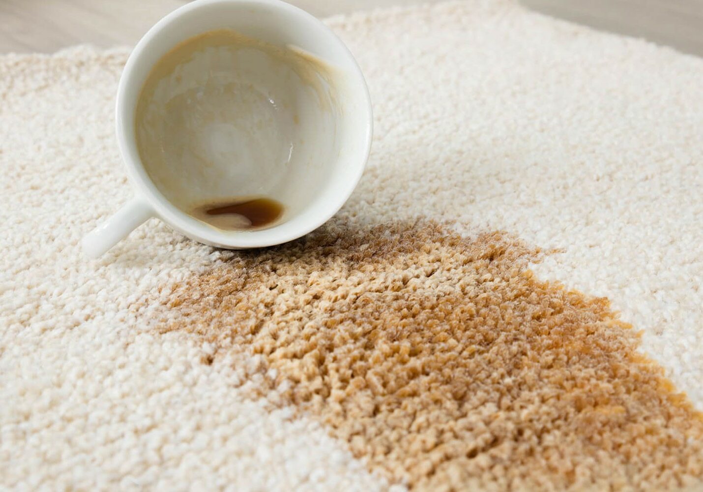 Coffee spilled on an area rug | JCB Interiors